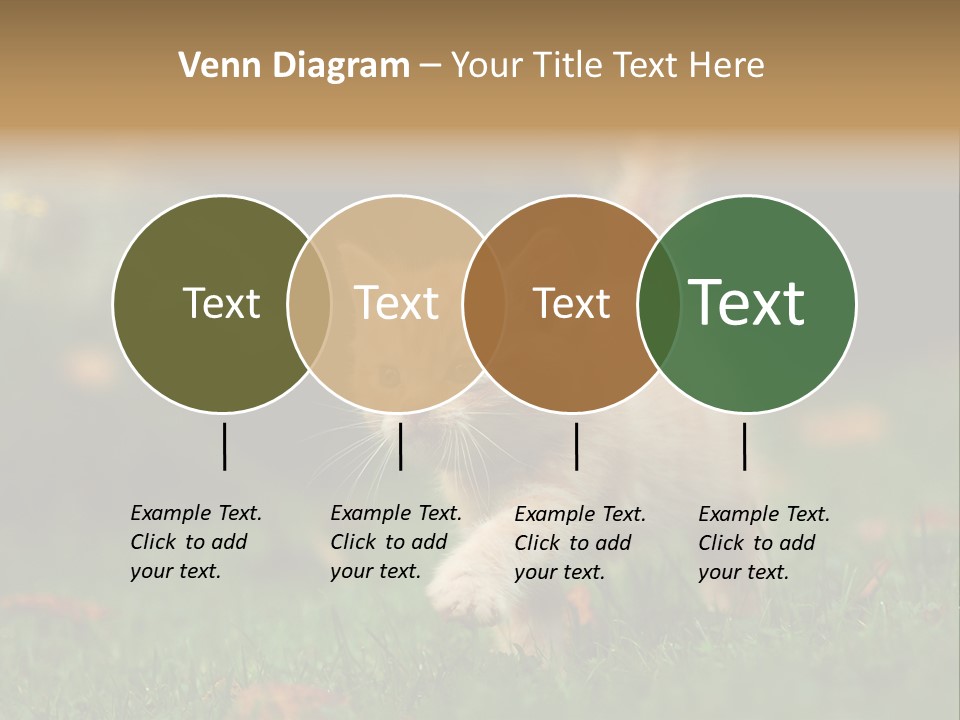 Switch Technology System PowerPoint Template