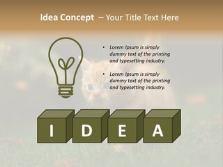 Switch Technology System PowerPoint Template