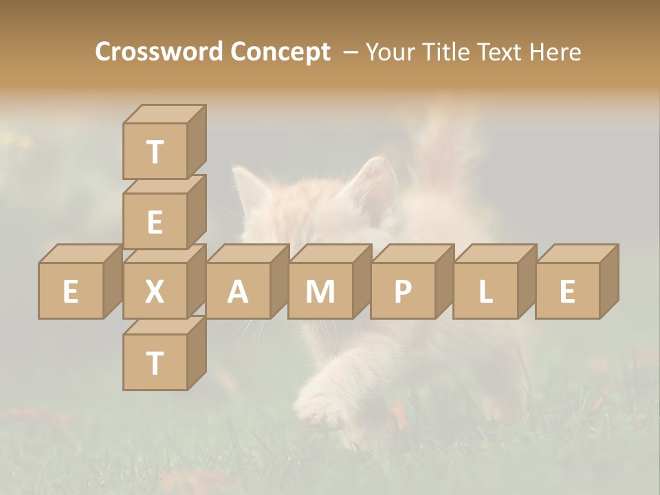 Switch Technology System PowerPoint Template