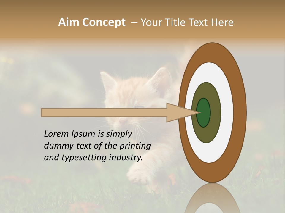Switch Technology System PowerPoint Template