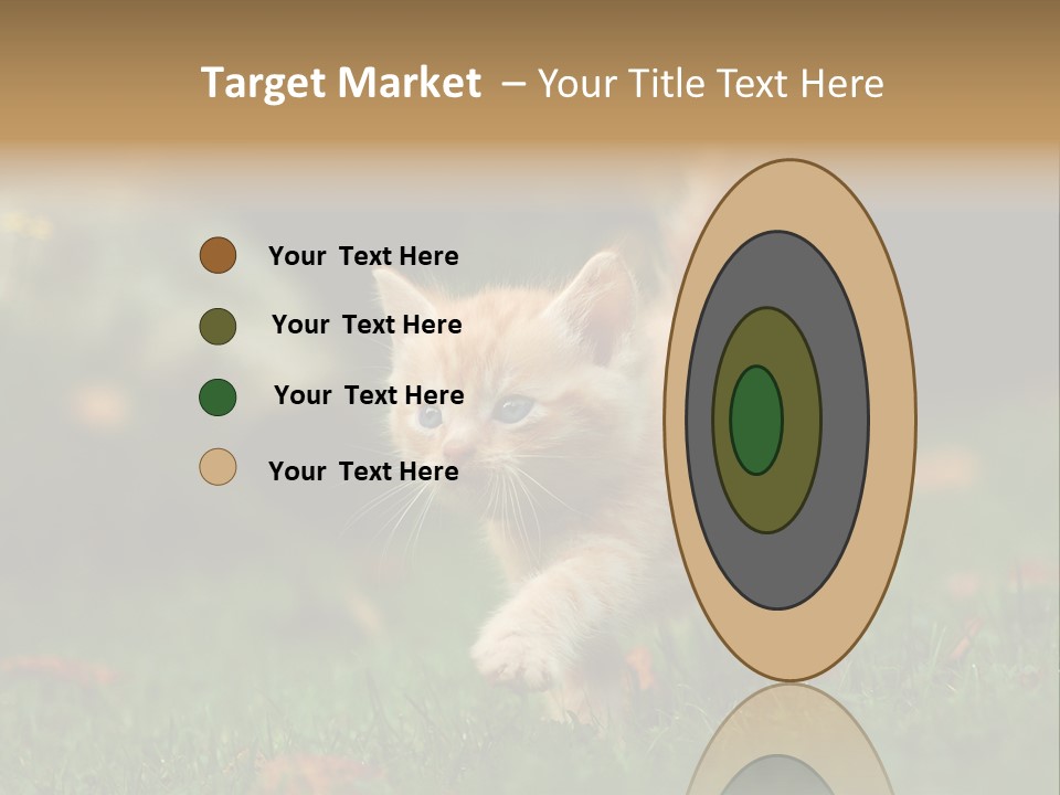 Switch Technology System PowerPoint Template