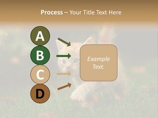 Switch Technology System PowerPoint Template
