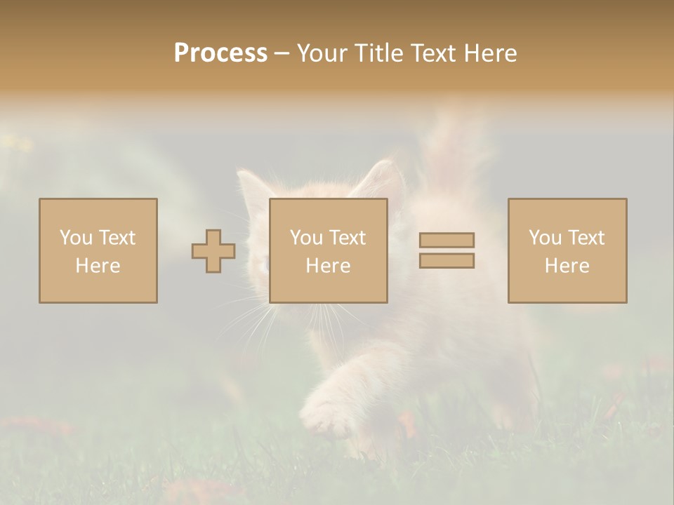 Switch Technology System PowerPoint Template