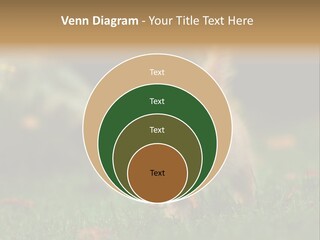 Switch Technology System PowerPoint Template