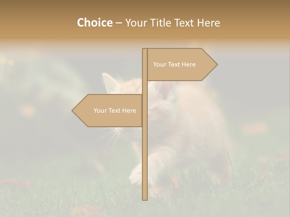 Switch Technology System PowerPoint Template