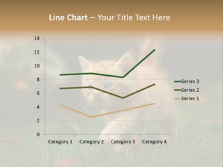 Switch Technology System PowerPoint Template