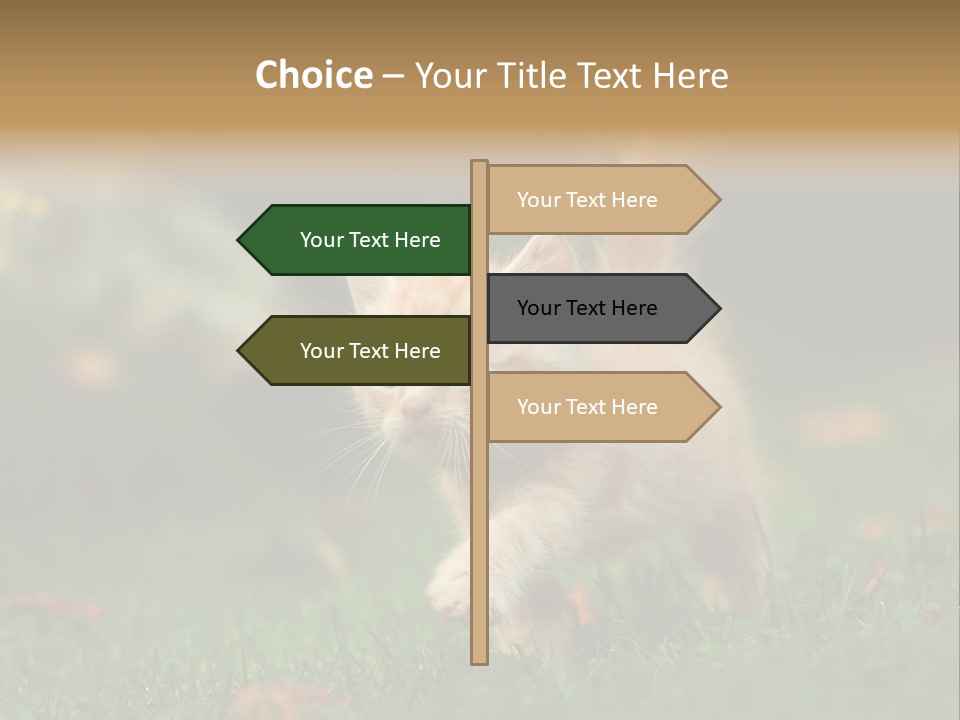 Switch Technology System PowerPoint Template