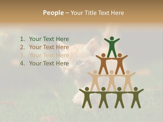 Switch Technology System PowerPoint Template