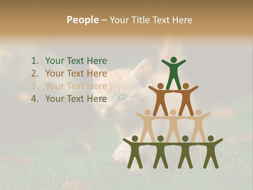 Switch Technology System PowerPoint Template