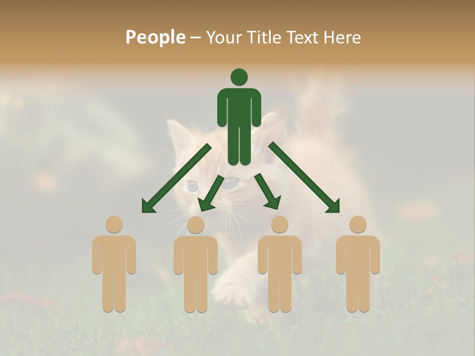 Switch Technology System PowerPoint Template