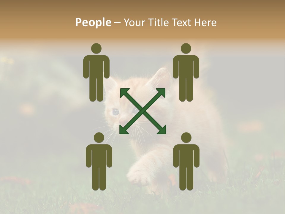 Switch Technology System PowerPoint Template