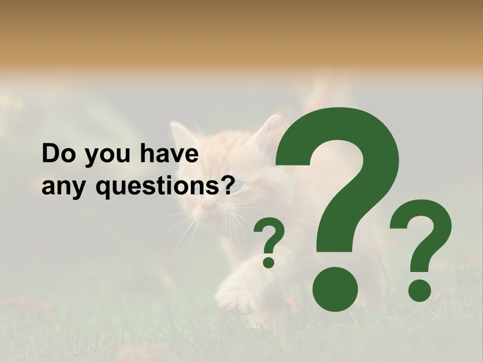 Switch Technology System PowerPoint Template