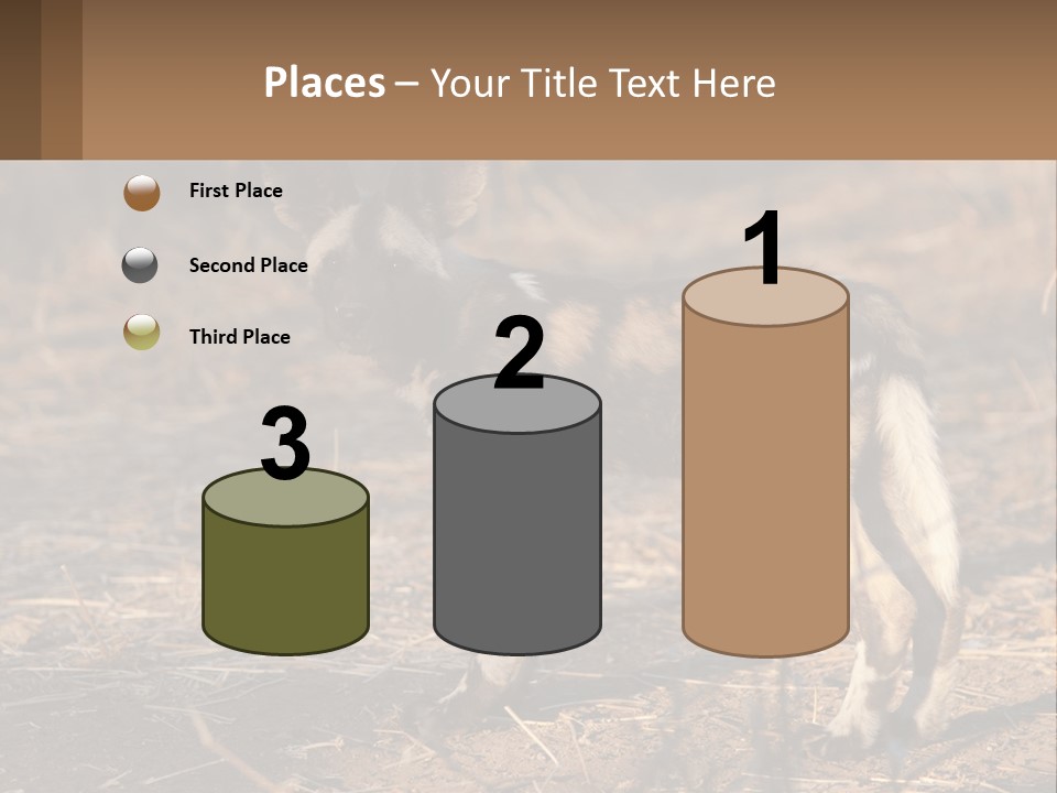 Power Electricity Remote PowerPoint Template