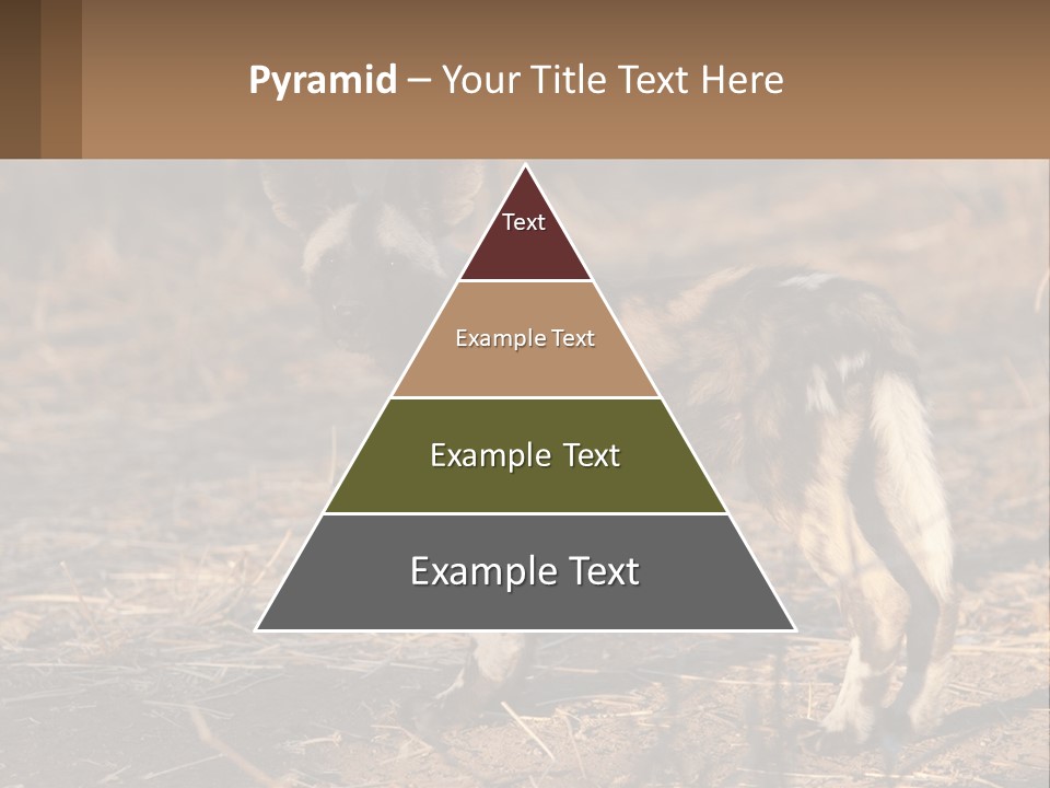 Power Electricity Remote PowerPoint Template