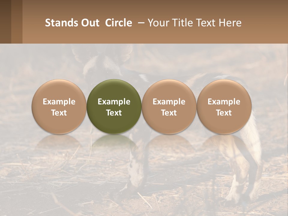 Power Electricity Remote PowerPoint Template