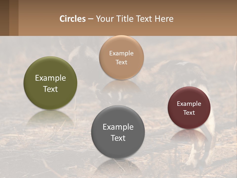 Power Electricity Remote PowerPoint Template