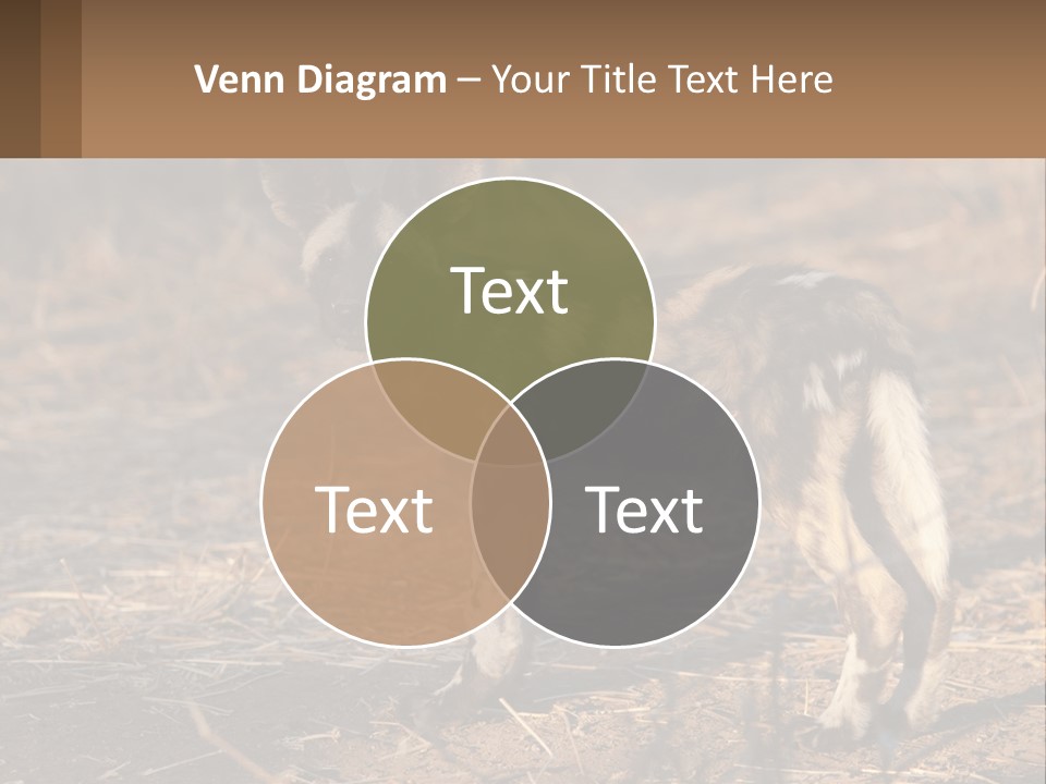 Power Electricity Remote PowerPoint Template