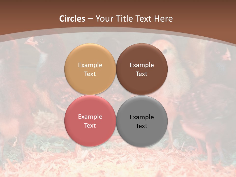 Supply Remote Unit PowerPoint Template