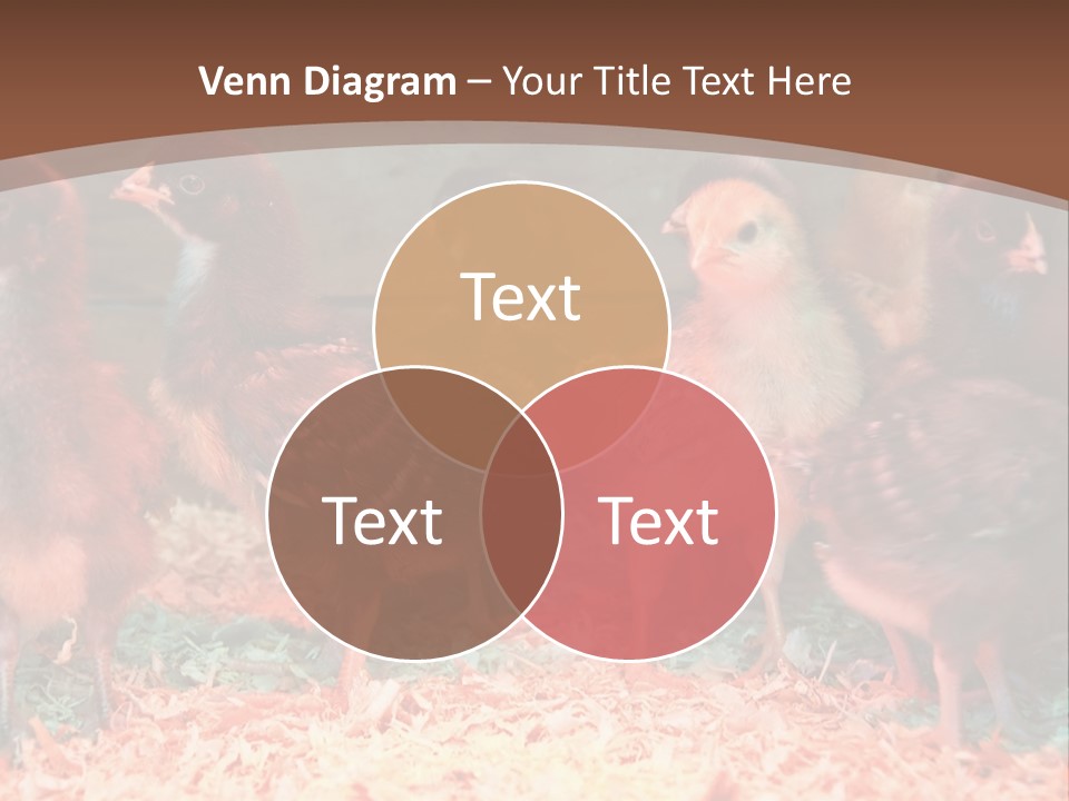Supply Remote Unit PowerPoint Template