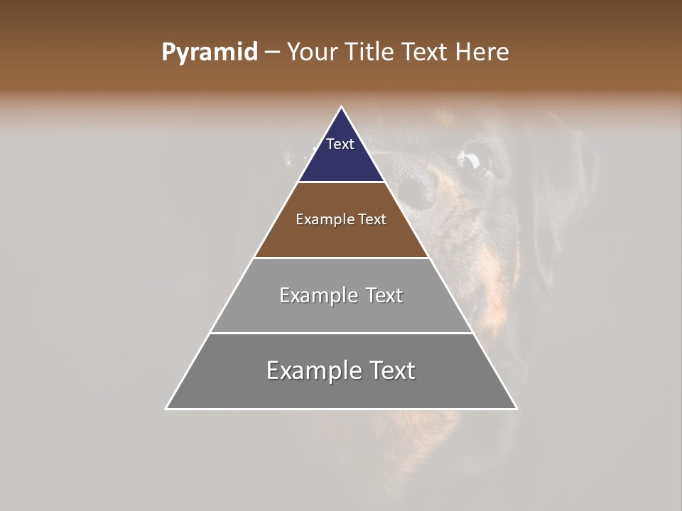 Power Temperature Cool PowerPoint Template