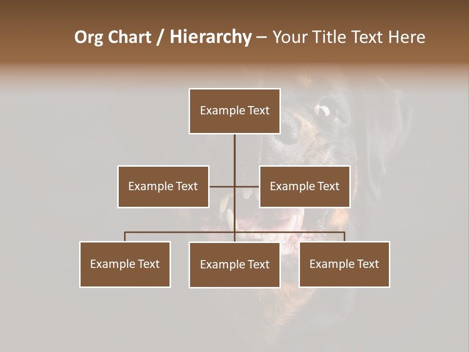 Power Temperature Cool PowerPoint Template