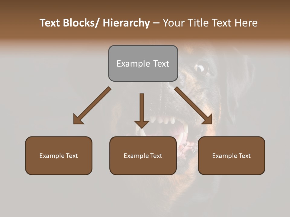 Power Temperature Cool PowerPoint Template