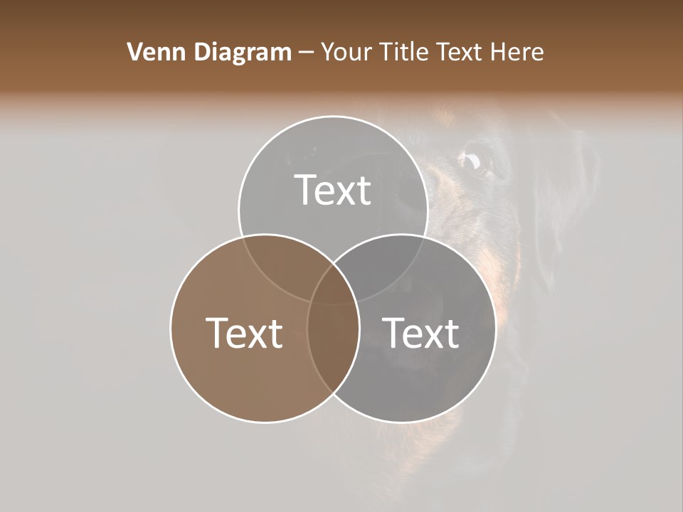 Power Temperature Cool PowerPoint Template