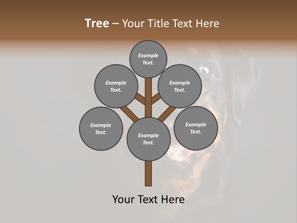 Power Temperature Cool PowerPoint Template