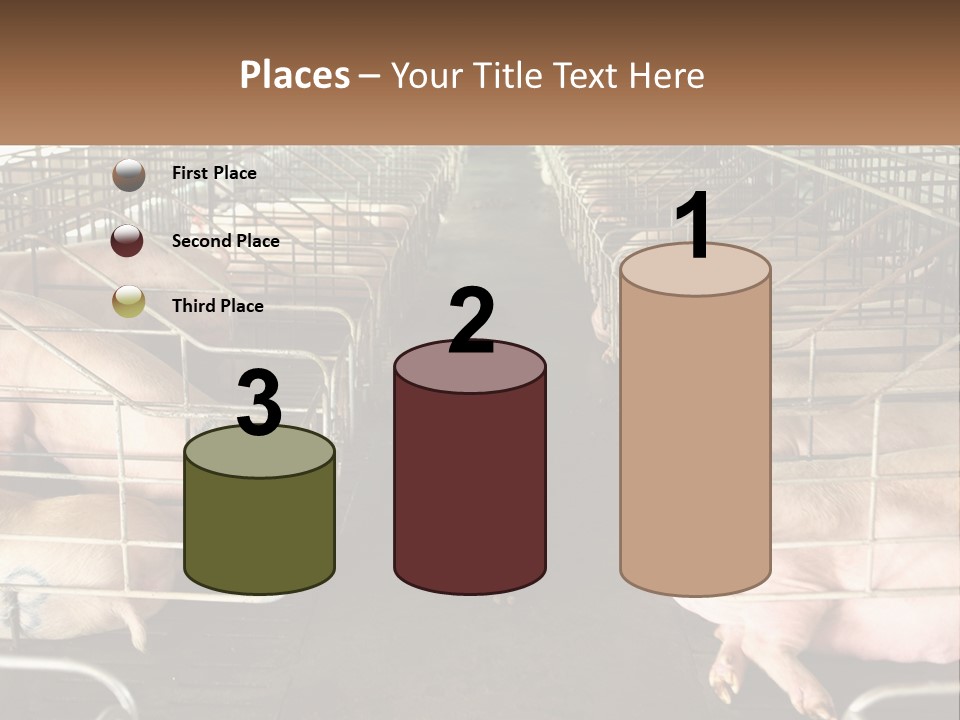 Industry Switch Cooling PowerPoint Template