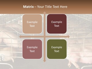 Industry Switch Cooling PowerPoint Template