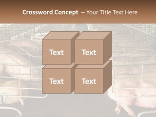 Industry Switch Cooling PowerPoint Template