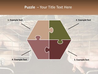 Industry Switch Cooling PowerPoint Template