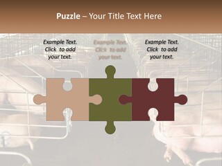 Industry Switch Cooling PowerPoint Template