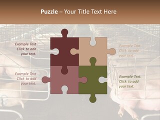 Industry Switch Cooling PowerPoint Template