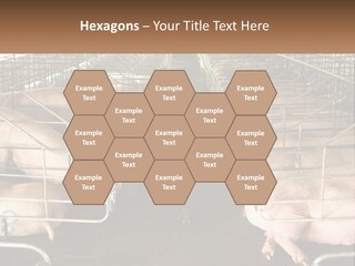 Industry Switch Cooling PowerPoint Template