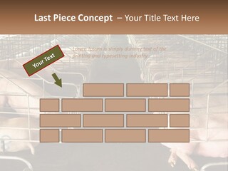 Industry Switch Cooling PowerPoint Template