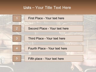 Industry Switch Cooling PowerPoint Template