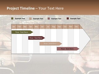 Industry Switch Cooling PowerPoint Template