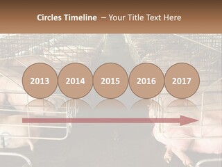 Industry Switch Cooling PowerPoint Template
