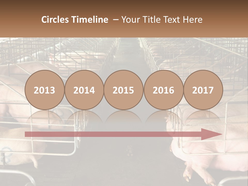 Industry Switch Cooling PowerPoint Template