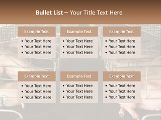 Industry Switch Cooling PowerPoint Template