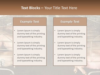 Industry Switch Cooling PowerPoint Template