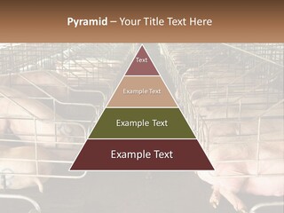 Industry Switch Cooling PowerPoint Template