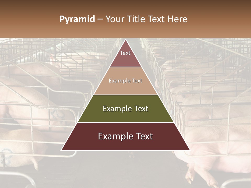 Industry Switch Cooling PowerPoint Template