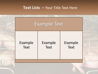Industry Switch Cooling PowerPoint Template