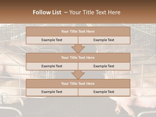 Industry Switch Cooling PowerPoint Template