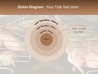 Industry Switch Cooling PowerPoint Template