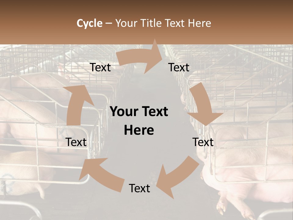 Industry Switch Cooling PowerPoint Template