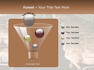 Industry Switch Cooling PowerPoint Template