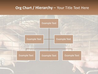 Industry Switch Cooling PowerPoint Template